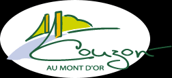 Couzon au mont d or